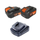 20V, 2.0Ah + 20V, 4.0Ah  + 61.36€ 